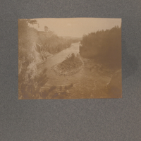 River Surrounded by Forest